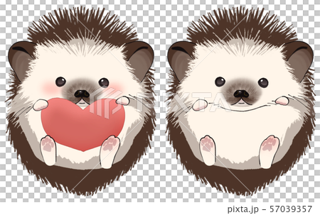 Hand riding hedgehog heart Hand riding hedgehog heart 57039357