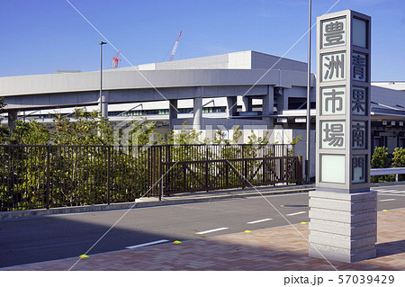 豊洲市場・青果南門 57039429