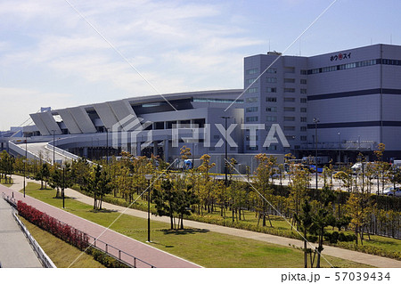 豊洲市場・水産卸売場棟 豊洲市場・水産卸売場棟 57039434