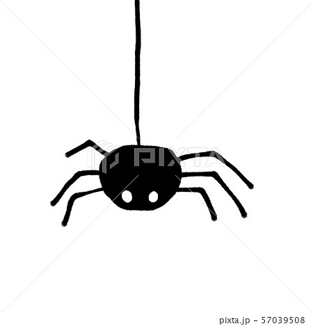 かわいい蜘蛛のイラスト素材 57039508 Pixta