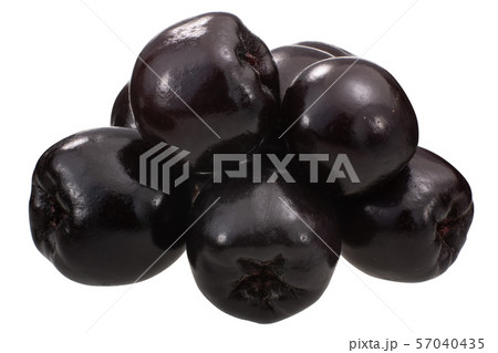 Chokeberry a. melanocarpa pile, paths 57040435