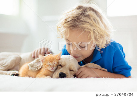 Child, dog and cat. Kids play with puppy, kitten. 57040704