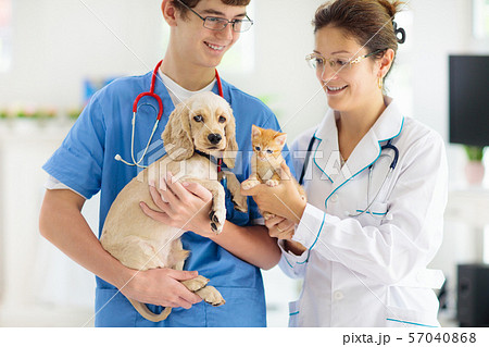 Vet with dog and cat. Puppy and kitten at doctor. 57040868