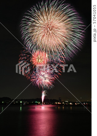 金沢まつり2019　花火大会 57041055