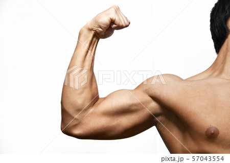 鍛えた若者の身体 鍛えた若者の身体 57043554