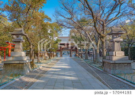 神戸 湊川神社 参道風景 神戸 湊川神社 参道風景 57044193