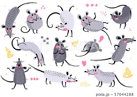 Set of funny rats for design. Cute little mice in different poses. Merry mouse romp. Vector 57044288