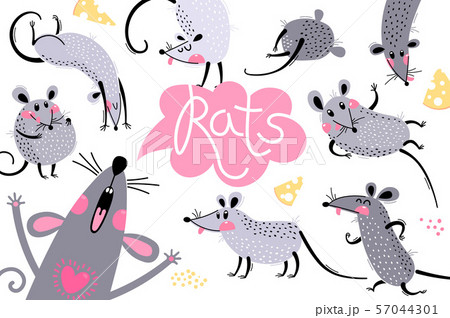 Set of funny rats for design. Cute little mice in different poses. Merry mouse romp. Vector Set of funny rats for design. Cute little mice in different poses. Merry mouse romp. Vector 57044301
