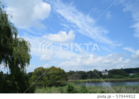 茂林寺沼の風景 茂林寺沼の風景 57044912