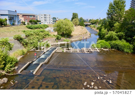 琴似発寒川(札幌市西区) 琴似発寒川(札幌市西区) 57045827
