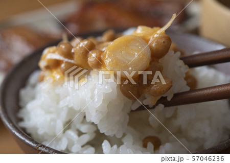 卵黄納豆 57046236