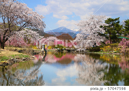 緑水苑の春（福島県・郡山市） 57047598