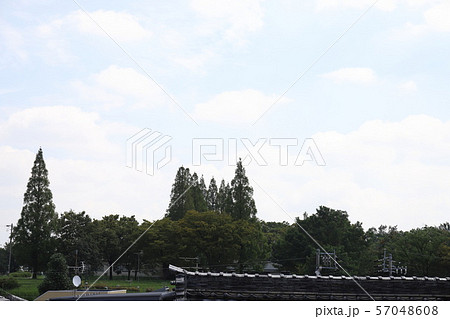 見晴台遺跡 57048608