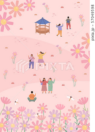 秋 花 コスモス 57049598