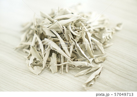 ホワイトセージ　葉っぱ 57049713