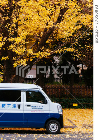 Cute van car under autumn yellow ginkgo tree - Cute van car under autumn yellow ginkgo tree - 57050993