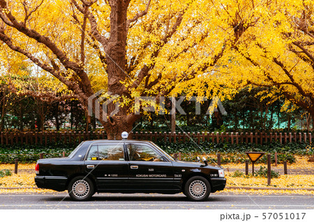 Tokyo Taxi on yellow ginkgo tree street Jingu 57051017