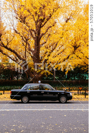 Tokyo Taxi on yellow ginkgo tree street Jingu 57051019