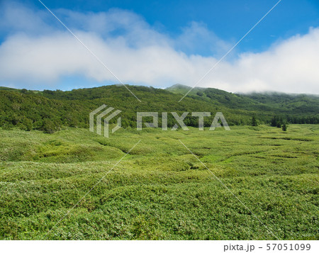 ニセコパノラマラインからの大谷地 57051099