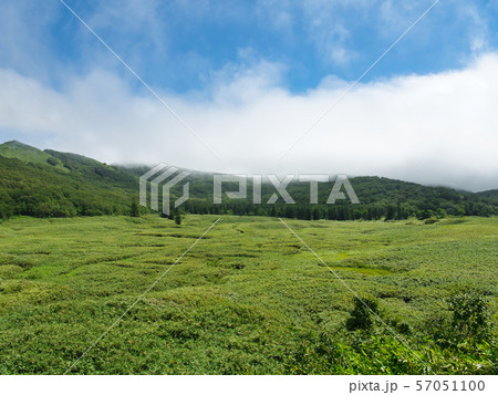 ニセコパノラマラインからの大谷地 ニセコパノラマラインからの大谷地 57051100