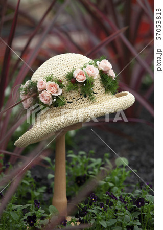 crown flower crown flower 57053813