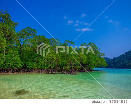 Mai Ngam Beach in Mu Koh Surin National Park, Phang-nga, Thailand : March 2019 Mai Ngam Beach in Mu Koh Surin National Park, Phang-nga, Thailand : March 2019 57054815