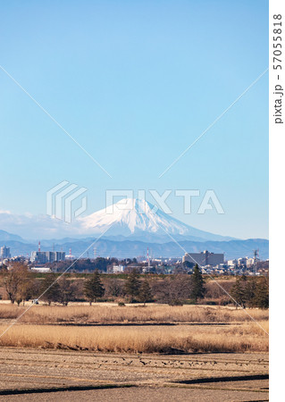 荒川河川敷から望む富士山 冬 荒川河川敷から望む富士山 冬 57055818