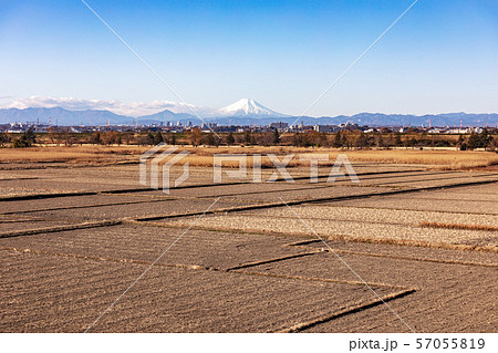 荒川河川敷から望む富士山 冬 荒川河川敷から望む富士山 冬 57055819