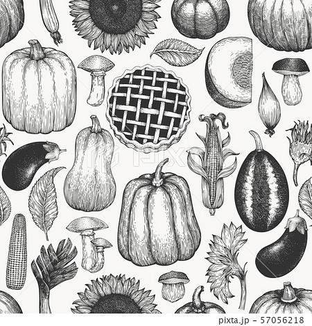 Autumn season food seamless pattern. Hand drawn Autumn season food seamless pattern. Hand drawn 57056218