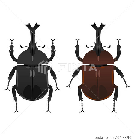 カブトムシのイラスト素材
