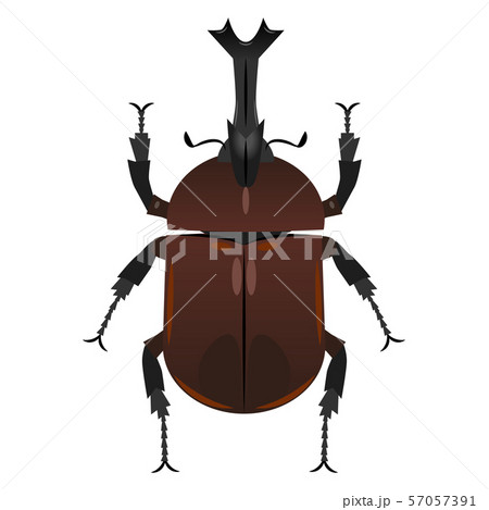カブトムシのイラスト素材 カブトムシのイラスト素材