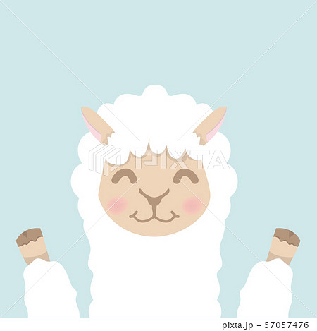 Cute Alpaca Fluffy Head Face Vectorのイラスト素材