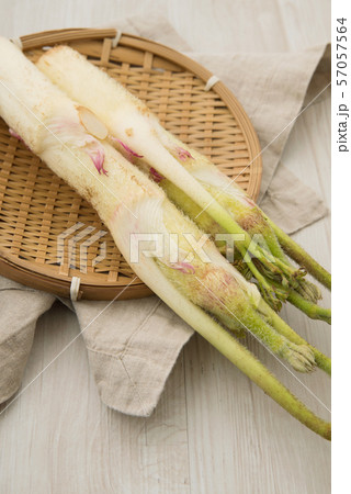 山うど 山うど 57057564