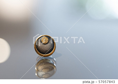 税理士バッジのアップ 税理士バッジのアップ 57057843