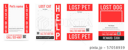 lost cat