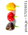 fresh colorful habanero chili peppers isolated on 57059031