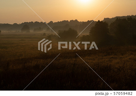 morning on meadow. sunrise landscape photo with 57059482