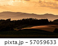 北海道・美瑛の丘　夕暮れ 57059633