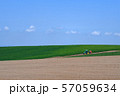 北海道・美瑛の丘　青空と畑 57059634