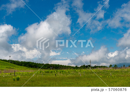 霧ヶ峰の夏山・霧ヶ峰スキー場（長野県） 57060876