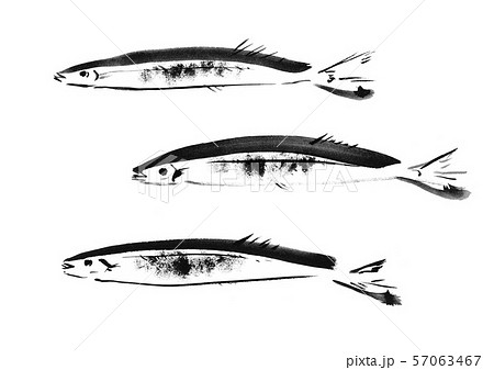 秋刀魚 さんま サンマ 魚 秋 秋食材 旬 さかな 青魚 イラスト 墨絵 和風 筆書き 手描き 和食のイラスト素材