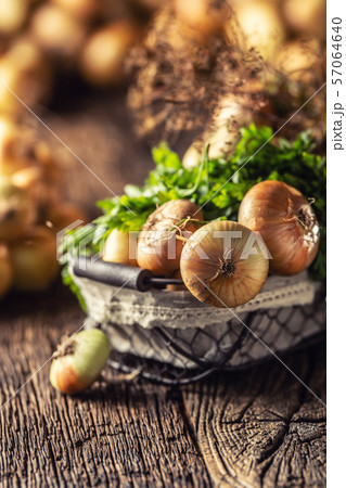 Bundle of freely lying dried onion with parsley 57064640