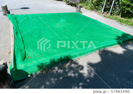 砂場の猫よけネット アニマルネット 砂場の猫よけネット アニマルネット 57065490