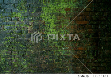 福知山線廃線敷　レンガ壁のテクスチャ 57068181