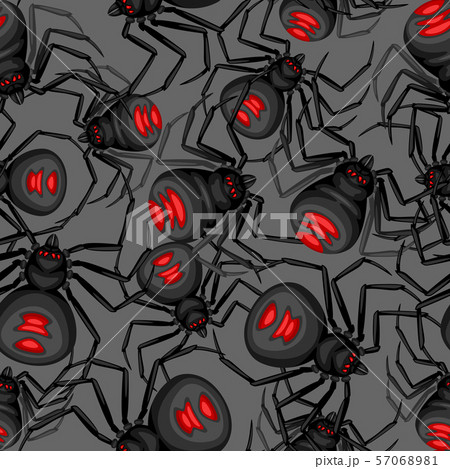 Seamless pattern with black widow spiders. 57068981