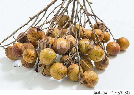 生薬, リュウガン, 龍眼, 竜眼, ロンガン, 薬膳, 漢方薬, 果実, 生薬, リュウガン, 龍眼, 竜眼, ロンガン, 薬膳, 漢方薬, 果実, 57070087