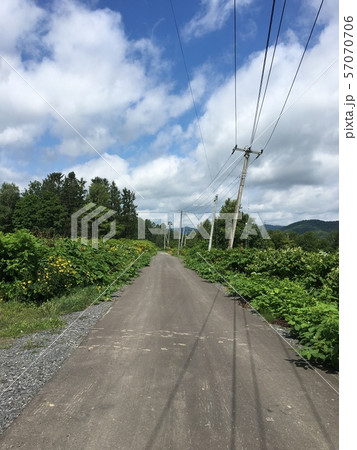 故郷の小道 故郷の小道 57070706