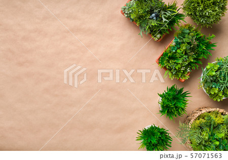 Artificial potted grassy plants on craft paper 57071563