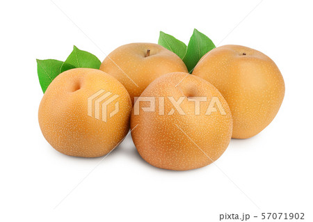 Fresh asian pear with leaf isolated on white background Fresh asian pear with leaf isolated on white background 57071902