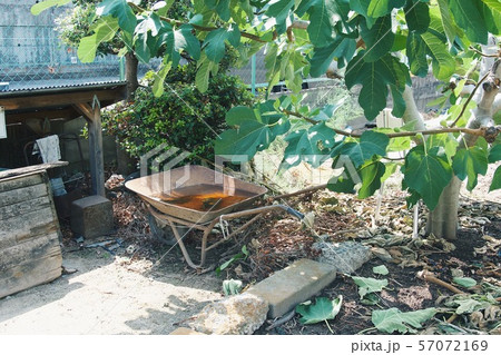 貸し農園 貸し農園 57072169